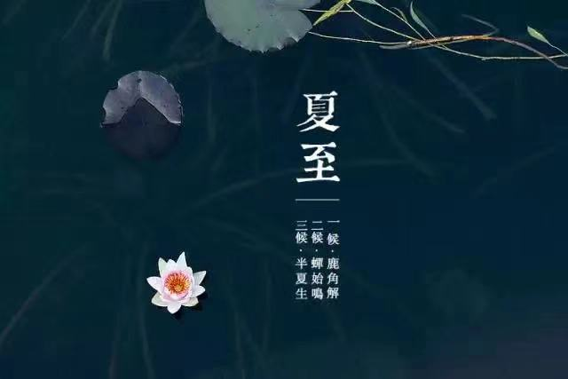 夏至  ——万物恣意长，时光知夏至