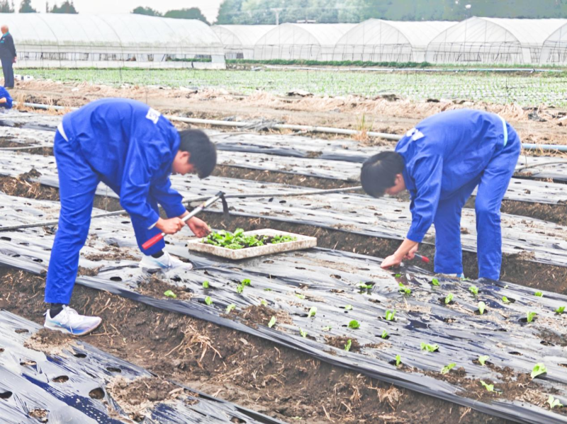 工人伟大 劳动光荣——学院开展劳动实践活动